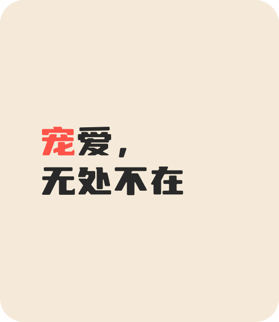 今年会jinnianhui金字招牌直播宠物，无处不在