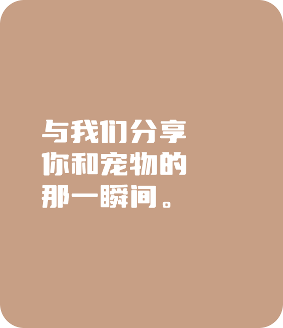 今年会jinnianhui金字招牌直播宠物，无处不在